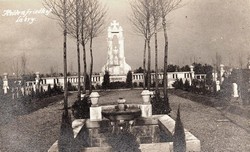 31 cm